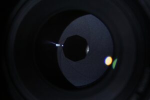adobe stock review